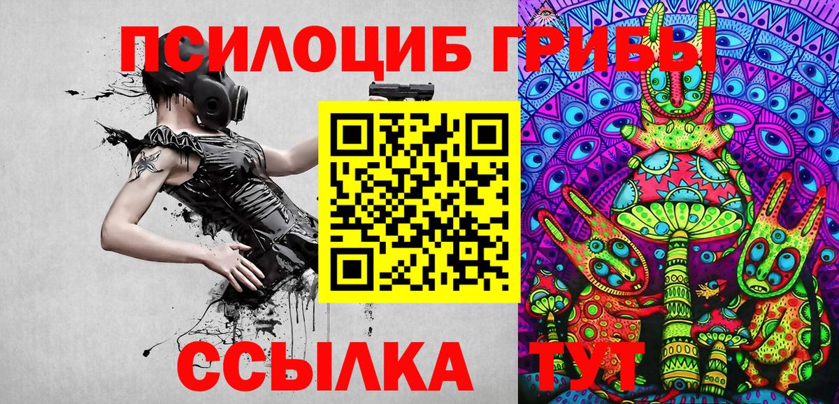Псилоцибиновые грибы прущие грибы  Вход с VPN  Выкса 